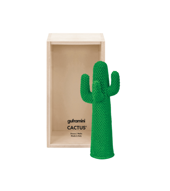 Ready for shipping - Cactus Guframini Miniature